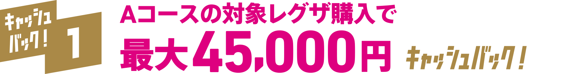 キャッシュバック!1 Aコースの対象レグザ購入で最大45,000円キャッシュバック!