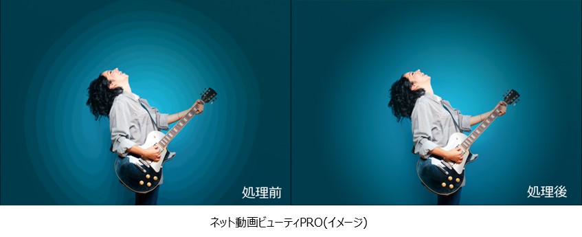 ネット動画ビューティPRO